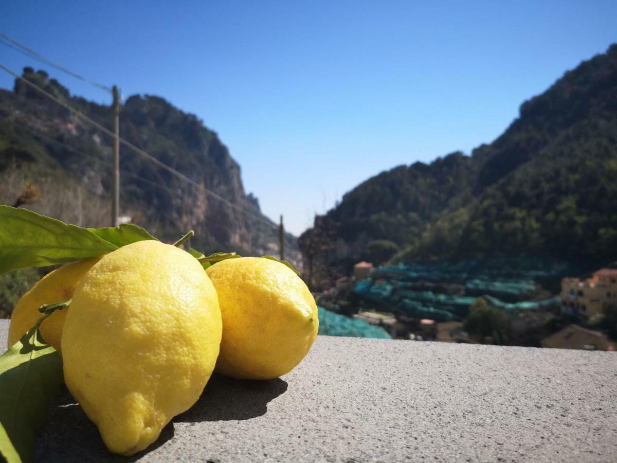 Fior D'arancio * Amalfi