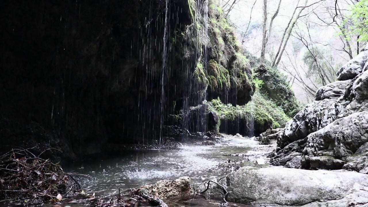 Fior D'arancio Casa vacanze *